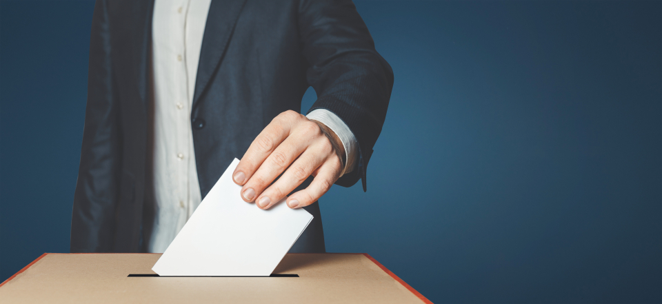 Voter Bruxelles